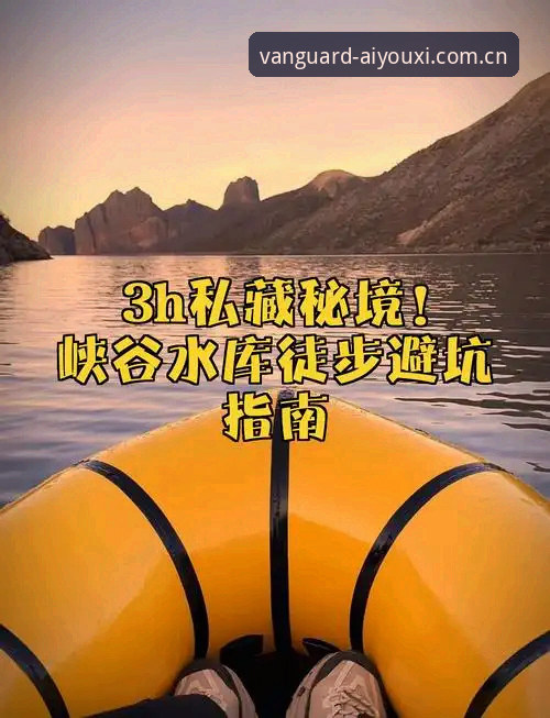 凝聚先锋官版安卓手机版vs普通版：哪个更适合你？详细教程避坑指南